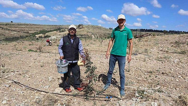 Boş ve atıl araziler Antep Fıstığı bahçelerine dönüyor