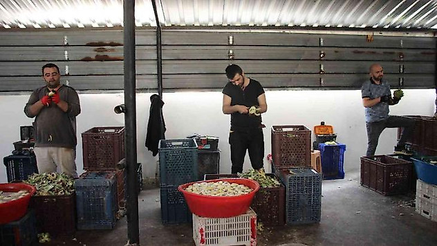 Bu iş için özel ekip kurdular, kişi başı aylık 30 bin TL kazanıyorlar