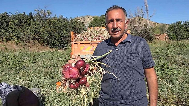 Bu köyde yaşayanların yüzde 90'ının gelir kaynağı 'soğan'