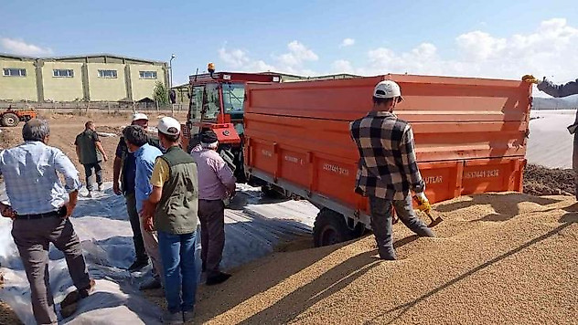 Buğdayda rekor üretimle ambarlarda boş yer kalmadı