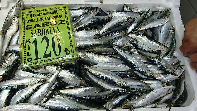 Çanakkale'de sardalyanın kilosu 120 lira oldu