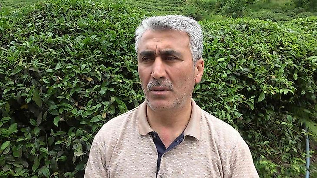 Çayın birinci sürgününden çay üreticileri memnun