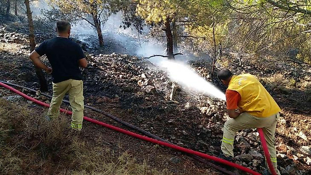 Çeşme'deki yangına müdahale sürüyor