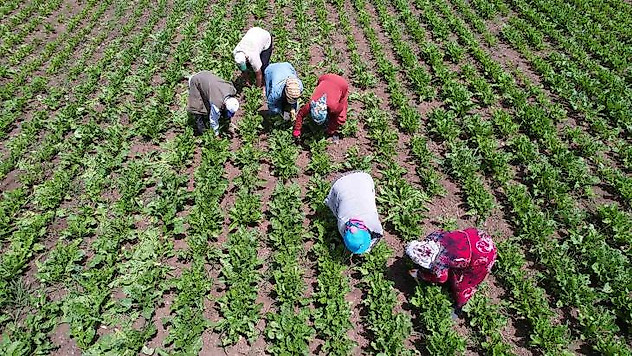Çetinkaya: 'Kahramanmaraş'ın ekili arazileri arttı'