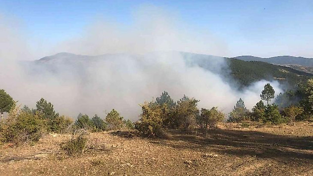Çorum'daki orman yangını kontrol altına alındı
