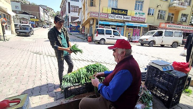 Dağdan topladıkları otlarla geçimlerini sağlıyorlar
