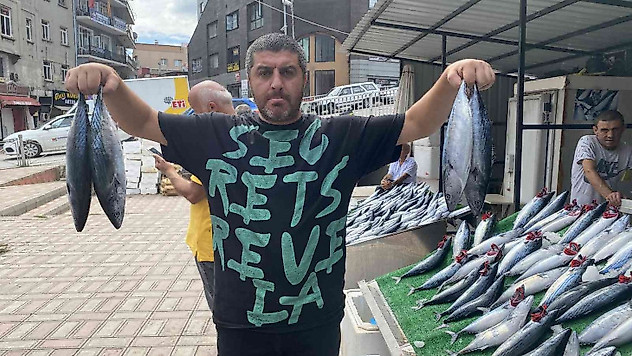 Denizden palamut fışkırdı, bolluk fiyata yansıdı