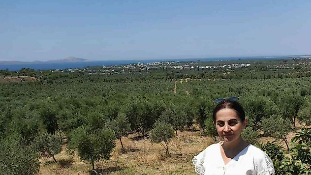 Dünya çapında firmalarla çalışan Türk iş kadını Yıldız Kalas Çanakkale'de zeytinyağı üretecek