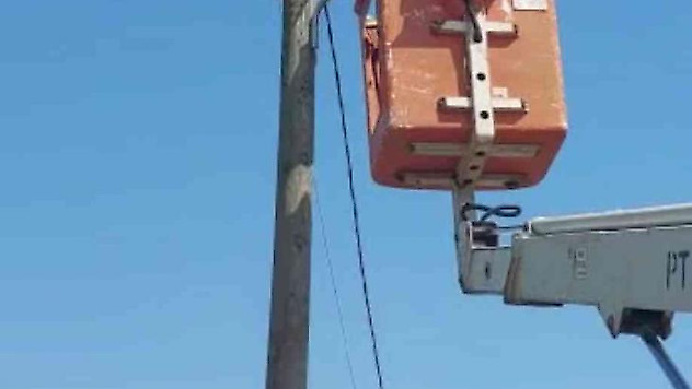 Elektrik direğinde kedi kurtarma operasyonu