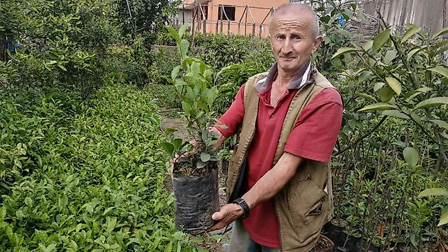 Emekli olduktan sonra hobi olarak başladığı fidan yetiştiriciliği mesleği oldu