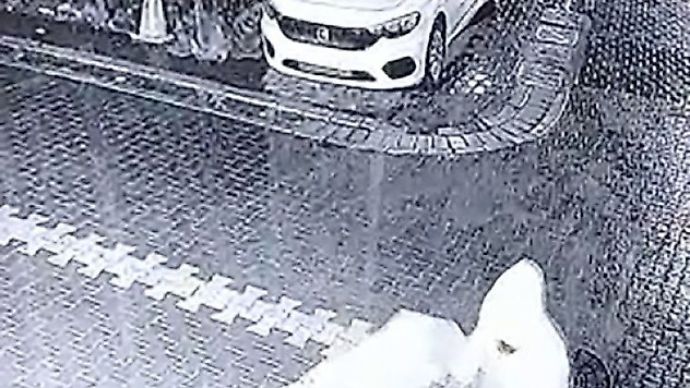 Esenyurt'ta pizza hırsızı güvenlik kamerasında
