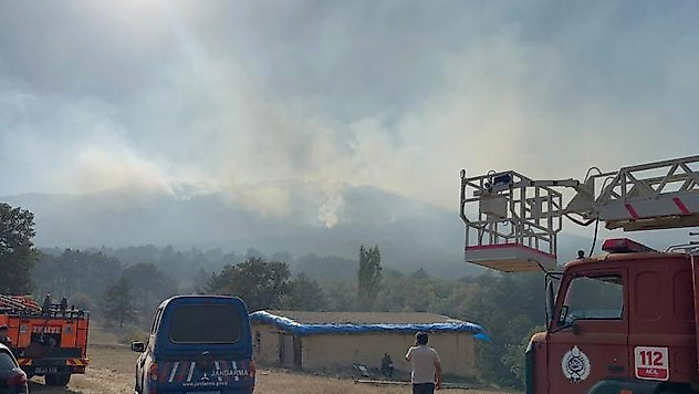 Eskişehir'de çıkan orman yangınına müdahale devam ediyor