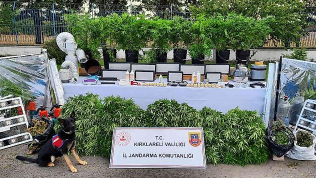 Ev terası değil uyuşturucu serası