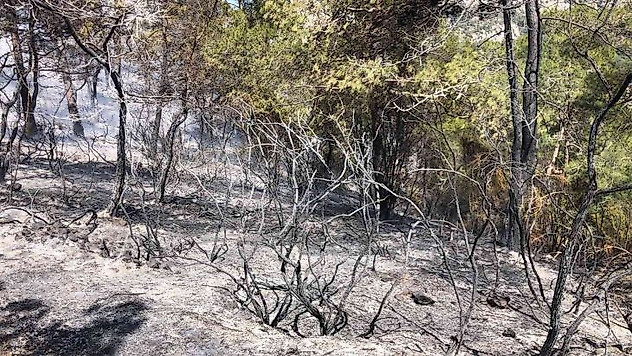Fethiye'deki yangın kısmen kontrol altına alındı