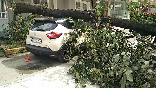 Fırtınanın devirdiği ağaç, park halindeki otomobilin üzerine düştü