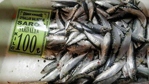 Geçtiğimiz hafta 150 liraya kadar ulaşan sardalyanın kilosu 100 liraya düştü