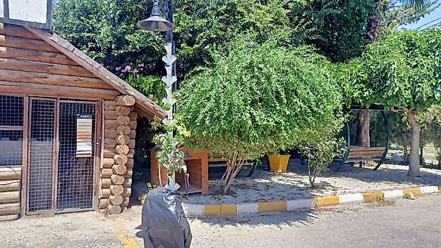 Güneş enerjisiyle topraksız dikey tarım