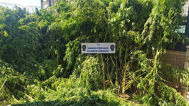 Hatay'da uyuşturucu operasyonları