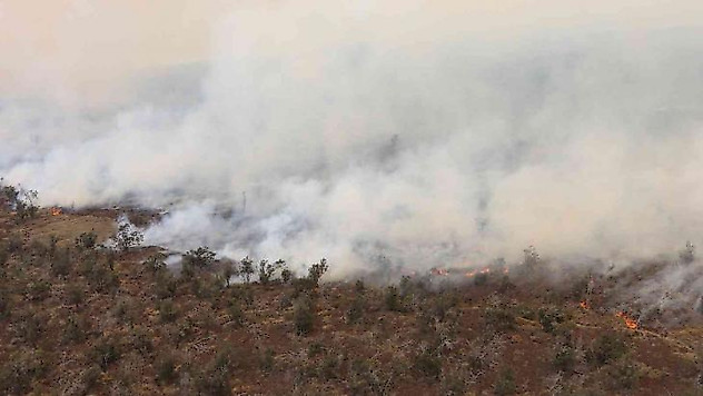 Hawaii'de çalılık alanda yangın: 9 bin 800 hektar alan kül oldu