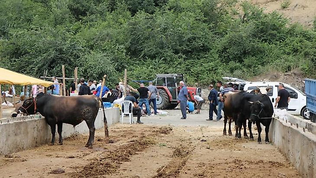 Hayvancılıkta 'Sözleşmeli Besicilik' dönemi