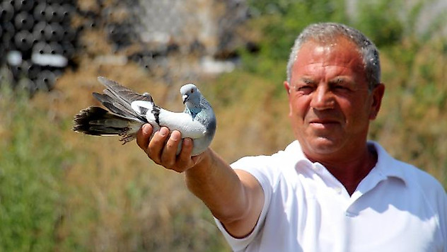 Hobi sektöre dönüştü, birçok aile bundan geçimini sağlıyor