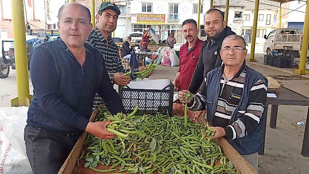 İlkbahar sebzesi baklada hasat zamanı