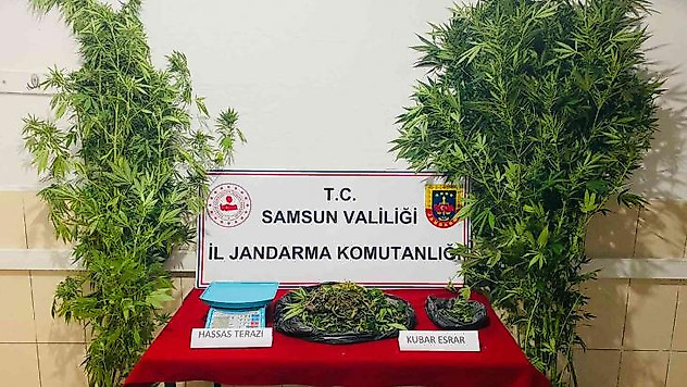 Jandarmadan uyuşturucu operasyonu: 1 gözaltı