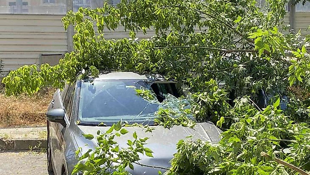Kadıköy'de ağaç 2 otomobilin üzerine devrildi, bir kişi yaralandı