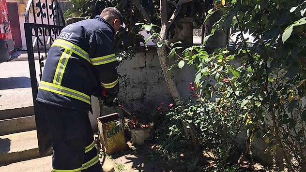 Kadınların yılan ihbarı itfaiyeyi harekete geçirdi