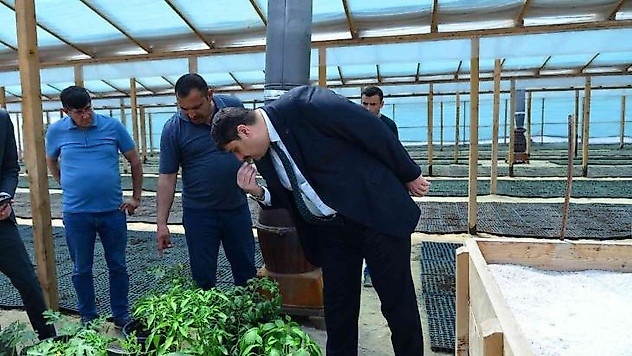 Kahramankazan'da 'Ata Tohumu' projesi