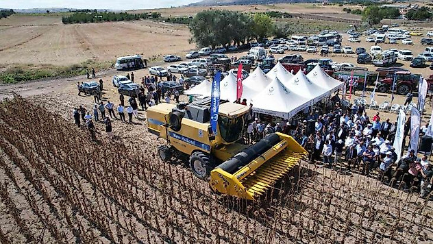 Kahramankazan Ovası'nı sarıya boyayan ayçiçeğinde hasat başladı