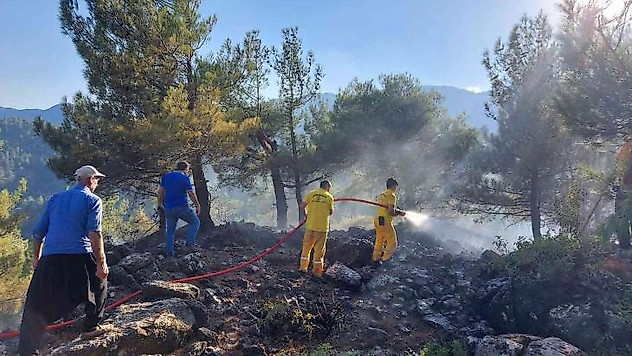 Kahramanmaraş'ta 6 noktada çıkan yangın söndürüldü, ormanları yakan şüpheli yakalandı