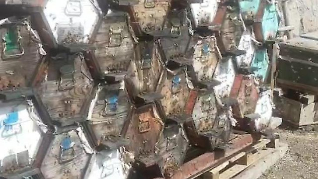 Kara kovanda üretilen Anzer Balı 8 bin TL'den alıcı buluyor