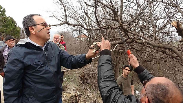 Karabük'te yetiştirilecek fıstık, köylüler için gelir kaynağı olacak