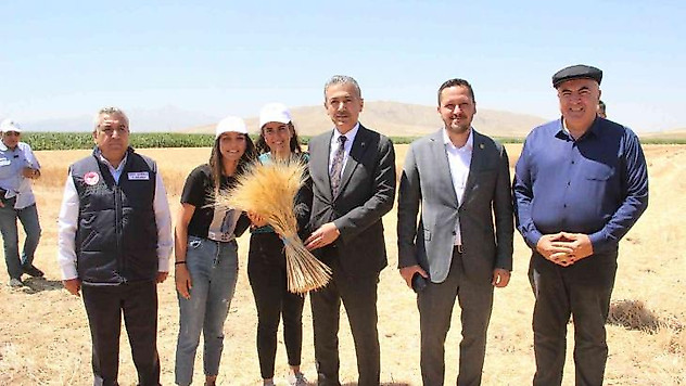 Karaman ovasında son buğday hasadı yapıldı