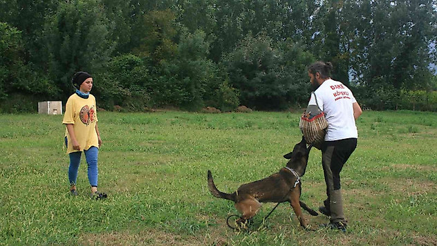 Karı koca çift hayatlarını köpek eğitimine adadı
