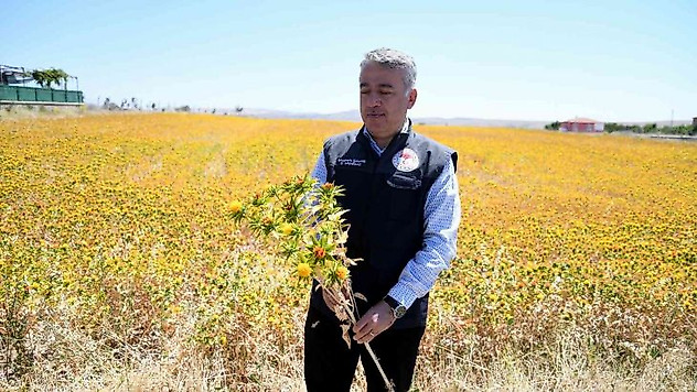 Kayseri aspir merkezi oldu