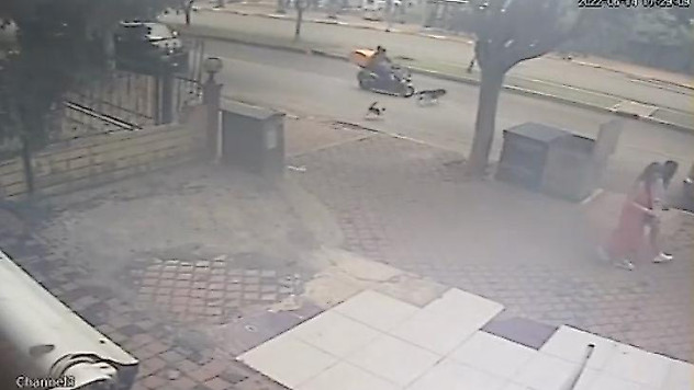 Kediden kaçan köpeğe motosiklet çarptı, o anlar kameraya yansıdı