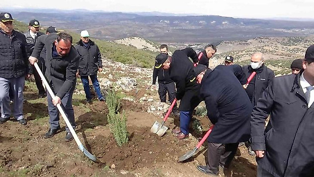 Kilis'te bal ormanı oluşturuluyor
