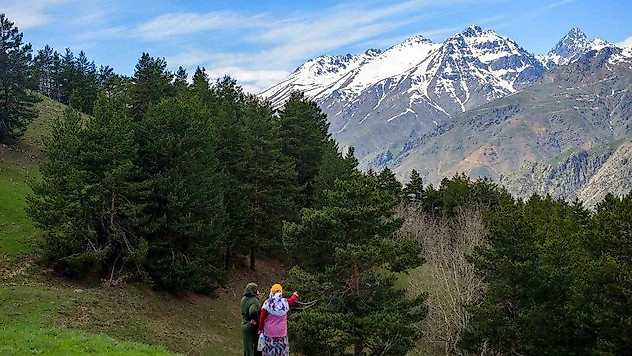 Kilometrelerce yürüdüler, tırmandılar ve doğal güzelliği fotoğrafladılar
