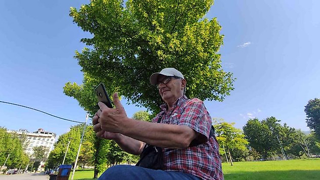 Kilosu yüzlerce lira...Her cadde ve parkta var, kimse toplamıyor