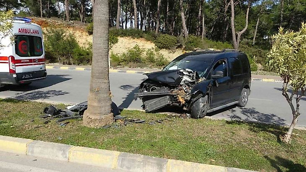 Kontrolden çıkan ticari araç palmiyeye çarptı: 2 yaralı
