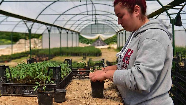 Kuaförlük yaparken çiftçiliğe geçti, 28 yaşında görenleri hayran bıraktı