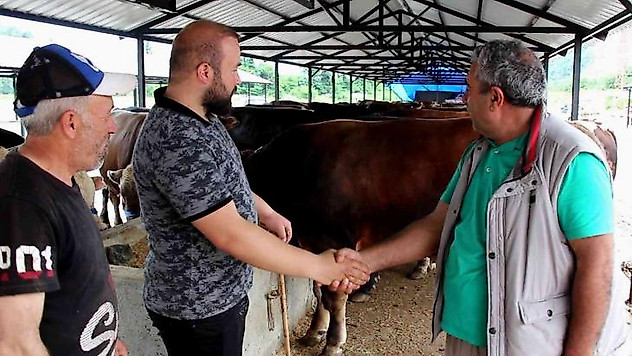 Kurbanlıklarda bu yıl pazarlıklar kızışacak
