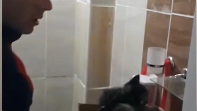 Mahsur kalan yavru kediler kurtarıldı