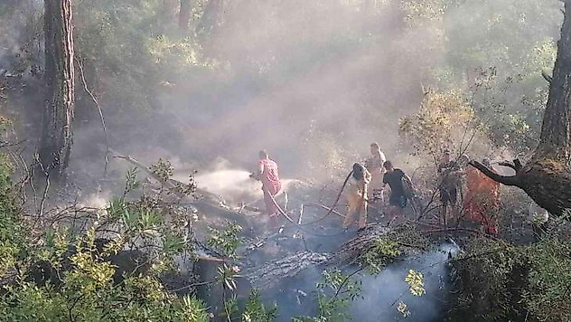 Manavgat'taki orman yangını büyümeden söndürüldü