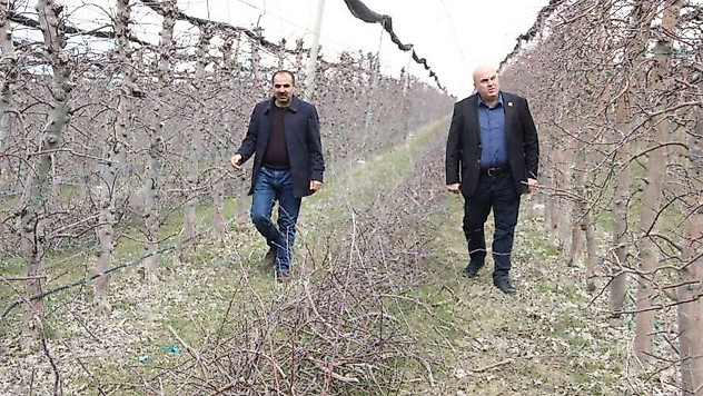 Mart ayının soğuk geçmesi elmada don riskini azalttı