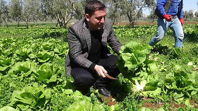 Marulun tanesi tarlada 2 TL markette 10 TL