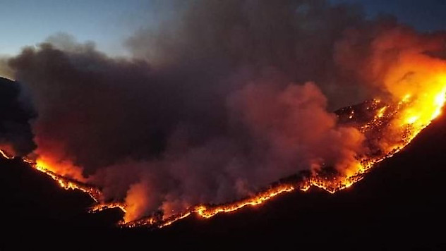 Meksika'da 33 noktada aktif orman yangını
