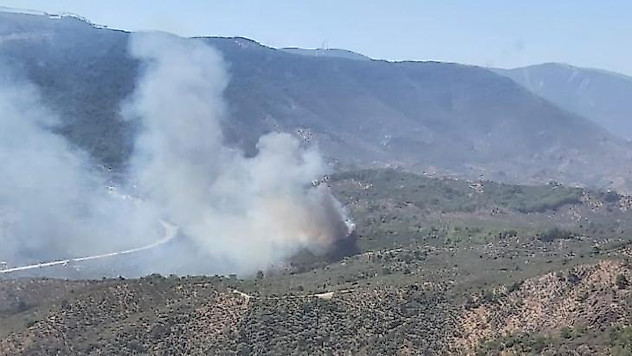 Milas'ta çıkan yangına müdahale devam ediyor